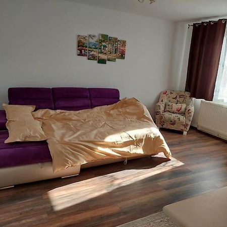 Apartamento Apartament In Sighetu Marmaţiei Exterior foto