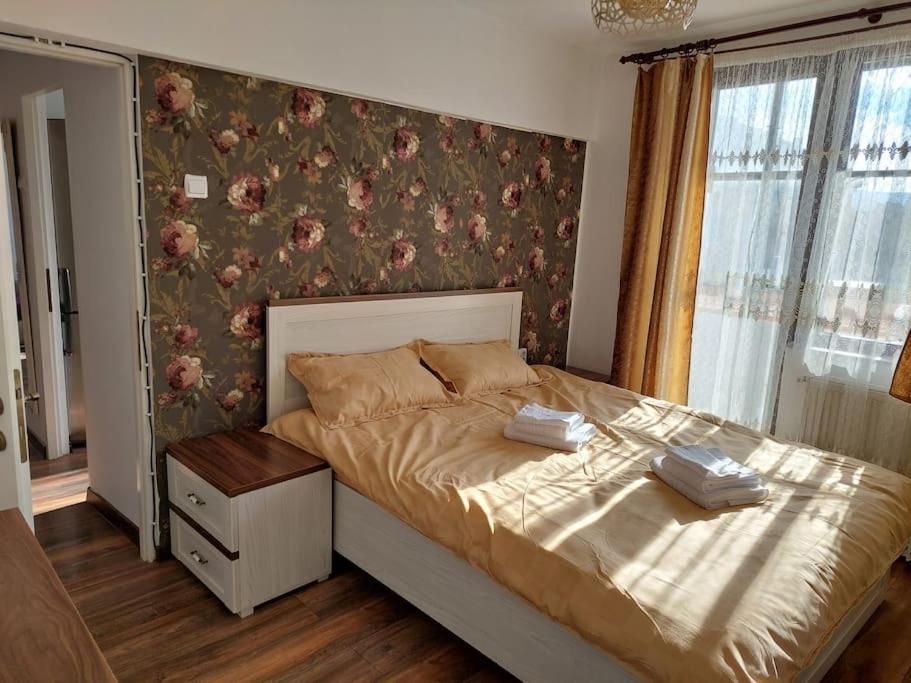 Apartamento Apartament In Sighetu Marmaţiei Exterior foto