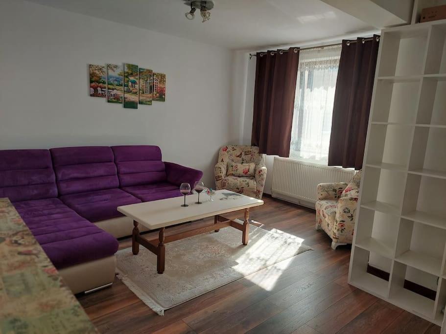 Apartamento Apartament In Sighetu Marmaţiei Exterior foto