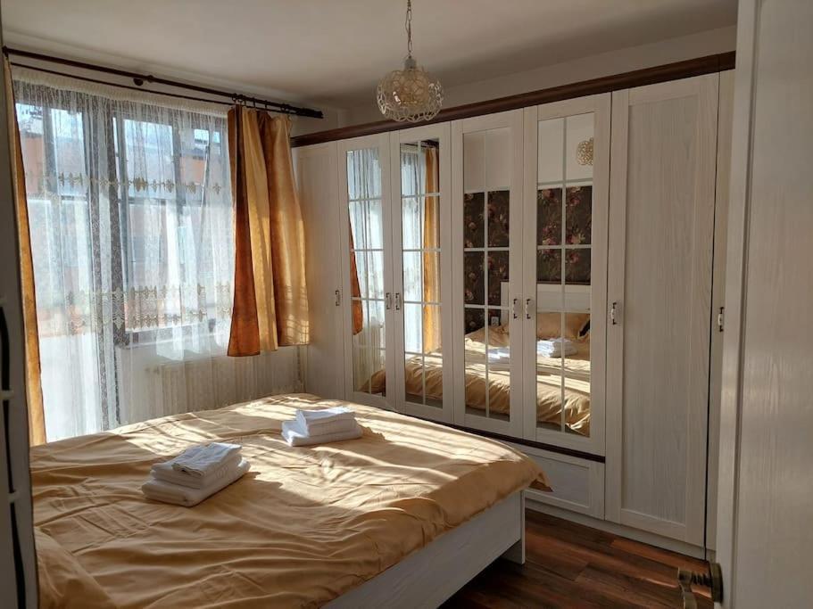 Apartamento Apartament In Sighetu Marmaţiei Exterior foto