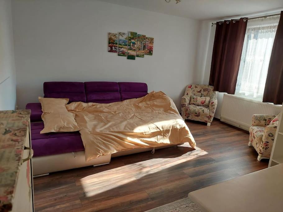Apartamento Apartament In Sighetu Marmaţiei Exterior foto